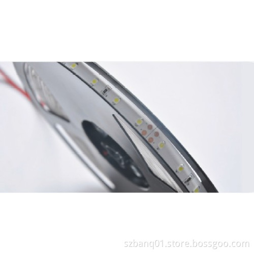 60LED/M SMD3528 Concolorous Non-Waterproof 12V Flexible LED Strip Light